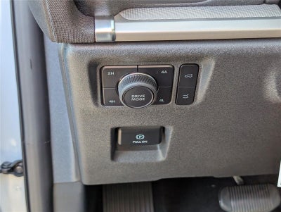 2025 Ford Expedition Active MAX