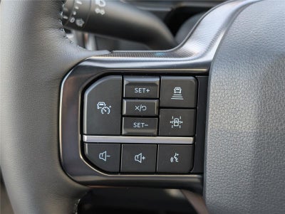 2025 Ford Super Duty F-250® Platinum®